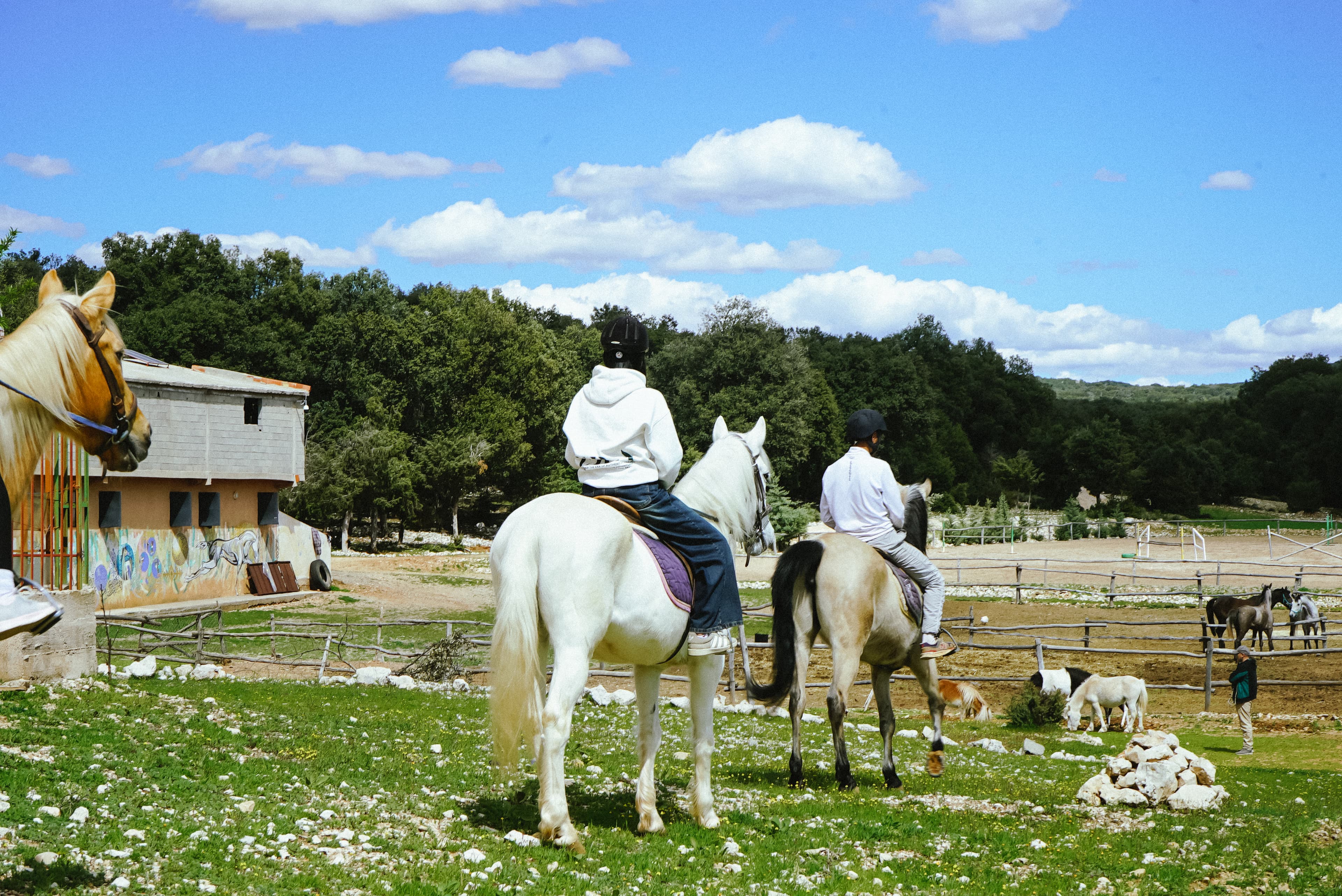 Balade à Cheval dans le Moyen Atlas